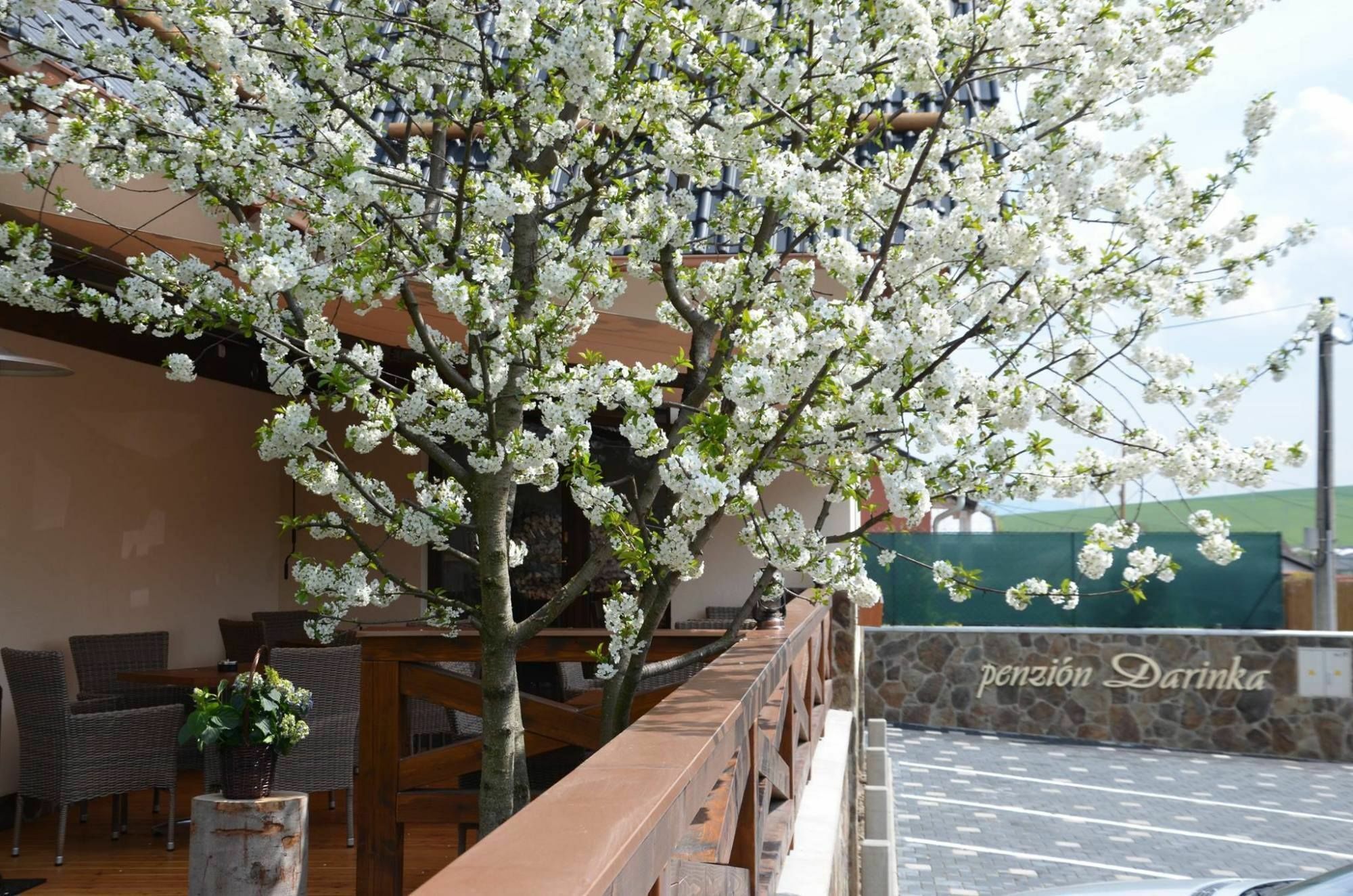 Penzión Darinka Poprad Exterior foto